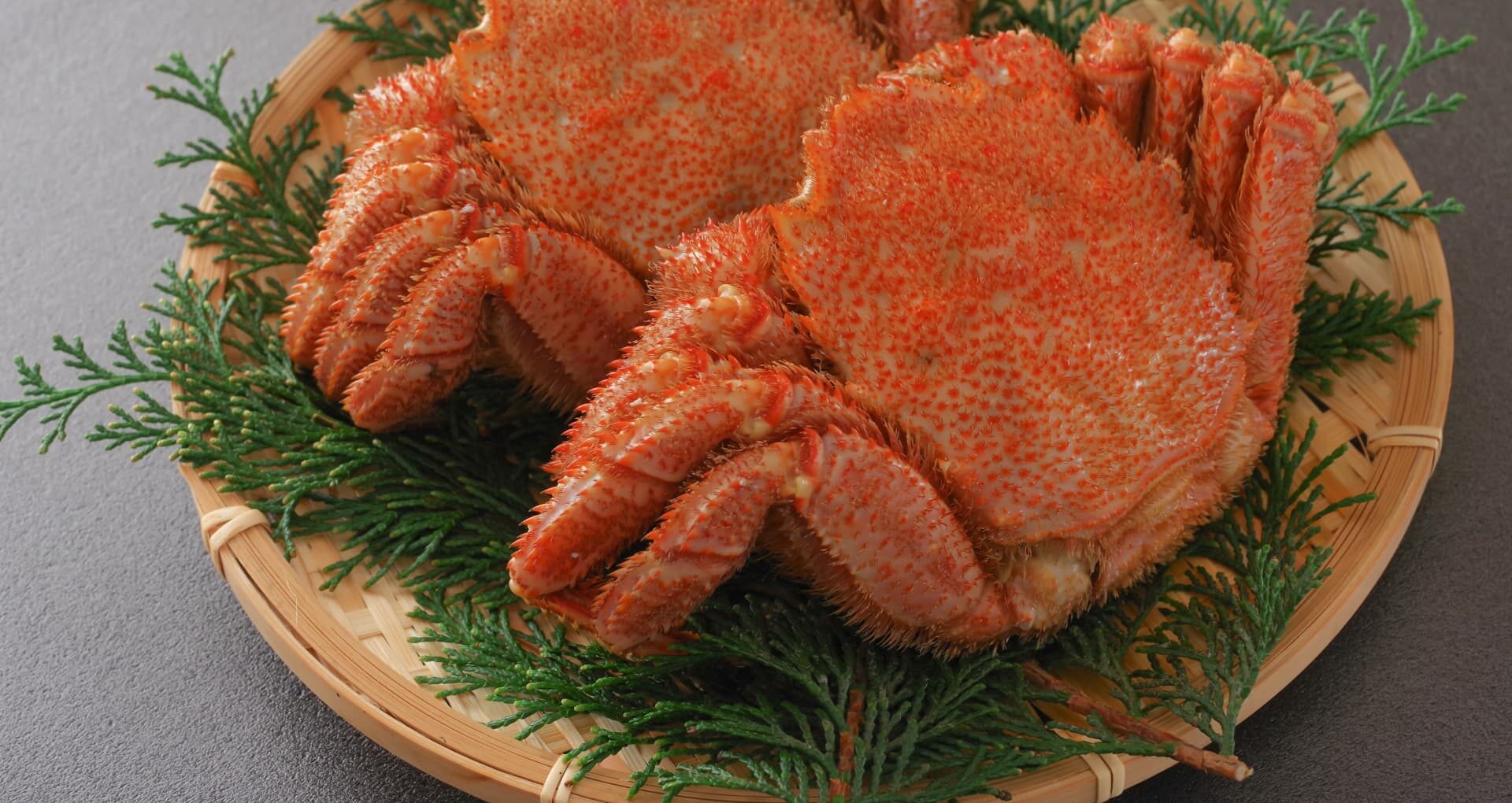 食べチョクの農家直送で届く新鮮な野菜や果物を並べたイメージと、生産者から直接購入できる仕組みを表現した画像